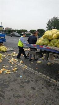 许昌吃瓜群众,吃瓜群众的热议焦点