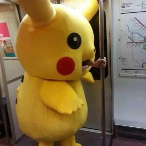 皮卡丘吃瓜日常,欢乐逗趣的夏日时光