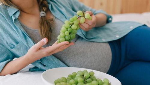 孕期吃瓜篓子,瓜篓子助力健康孕育之旅