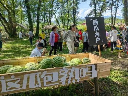 杨林吃瓜,揭秘娱乐圈幕后故事