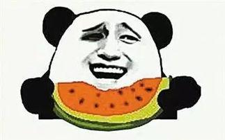 吃瓜地产,一场全民参与的娱乐盛宴