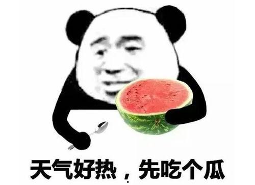 吃瓜不吃瓜呀表情包,表情包里的社会百态