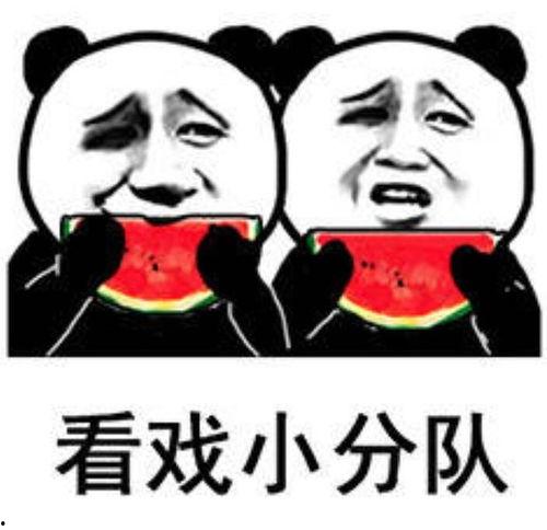 吃瓜不吃瓜呀表情包,表情包里的社会百态