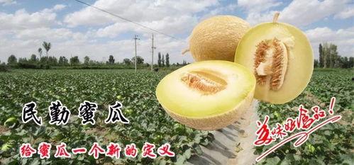 吃蜜瓜嘴里破了,口腔破洞的甜蜜代价