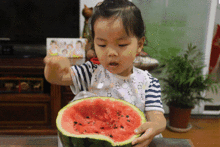 野蛮吃瓜