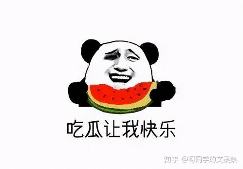 专注吃瓜文案短句